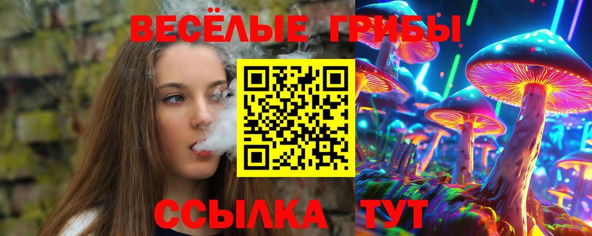 Галлюциногенные грибы MAGIC MUSHROOMS Ярославль