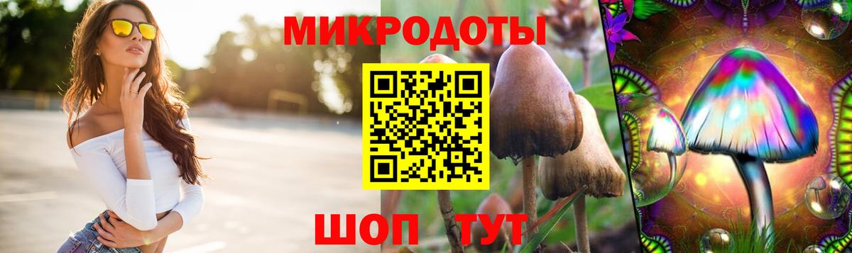 Галлюциногенные грибы MAGIC MUSHROOMS  наркота  Ярославль  Вход с VPN 